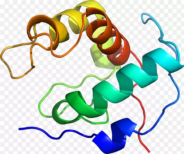 �����鱦���л����������-������