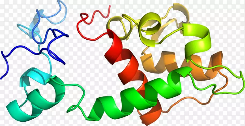 �л�����-������