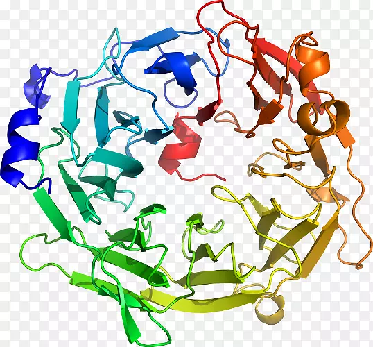 ֱ�ߵ㶯���������-������