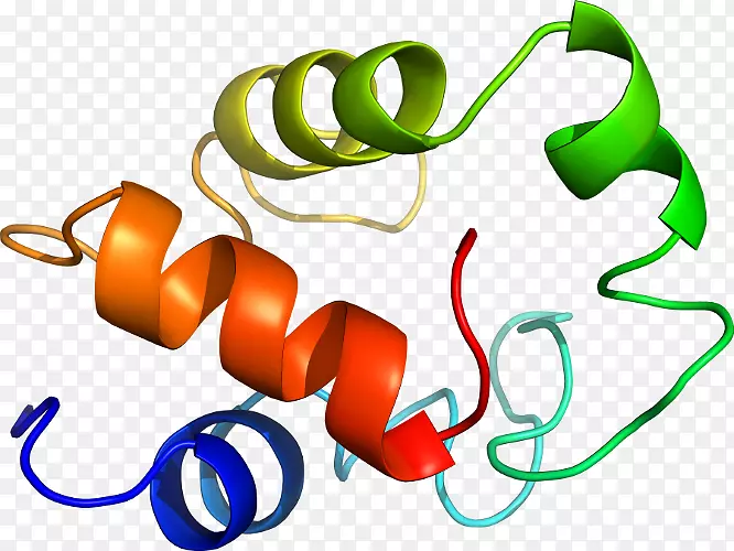 ��ϵ�л����߲�ϵ-������