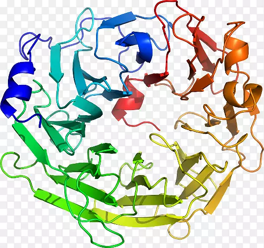 ������Ϊ�л����ߵ��������-������