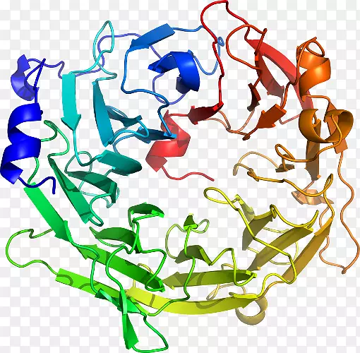 ������Ϊ�ߵ��������-������