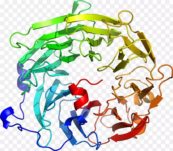 �ߵ������������-������