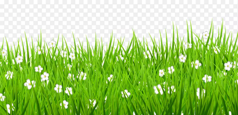 ��ƺ������.��ɫ��͸����-������