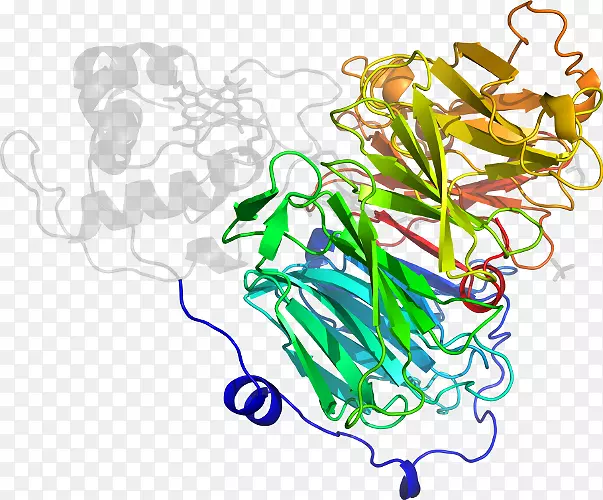 ����������ͼ����Ƽ�������-������