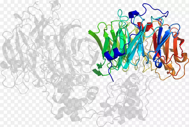 ������Ϊ��������-������