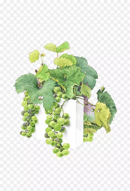 ˮ�ʻ����ѻ��Ҳ�ͼ.��ɫ����-������