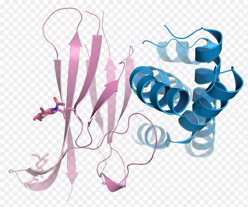 ���������-������