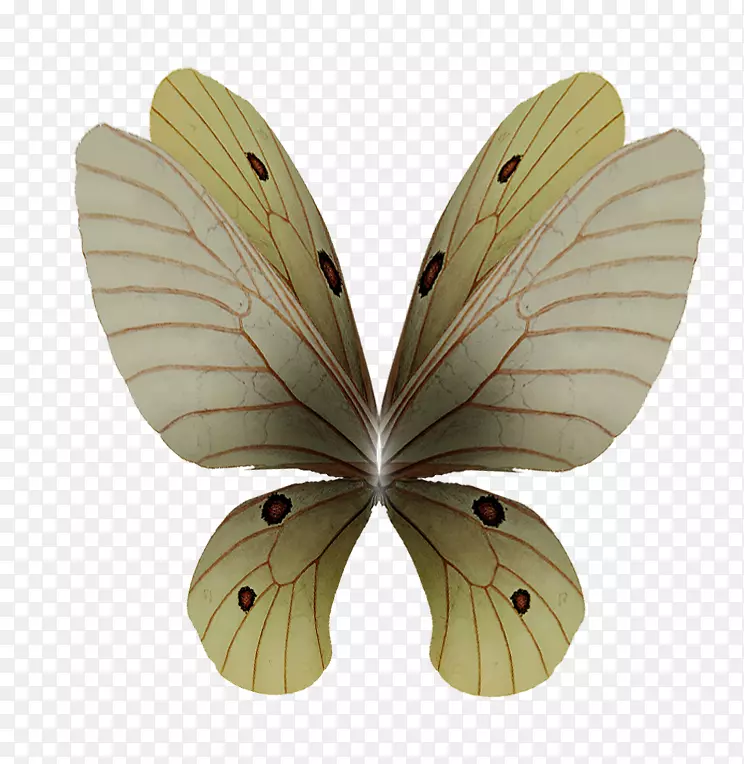 �϶�-��ʹ���-������