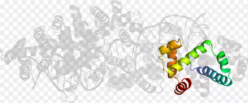 ʳƷ����ϵ�м�����ϵ��-������