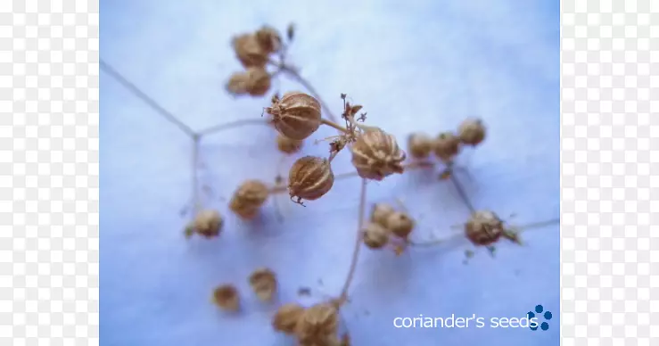 ���洫�ۺ���-�������-������