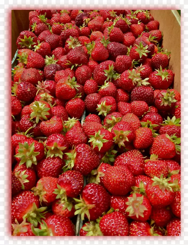 ��ݮ��ȻʳƷ����ʳƷ-��ϴˮ��-������