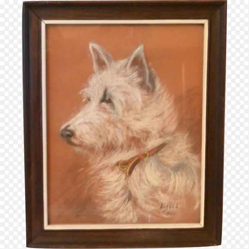 ŵά����Ȯ���׿�����Ȯ�����ߵذ�ɫ��Ȯ�Ĵ�������Ȯ�����ߵ���Ȯ-������