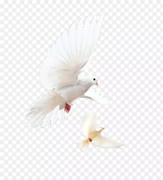 ������񣬷ɻ������ӵ����ϵĳ��-������