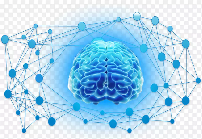 ��ͼ��ʳ������񾭿�ѧ������������-������