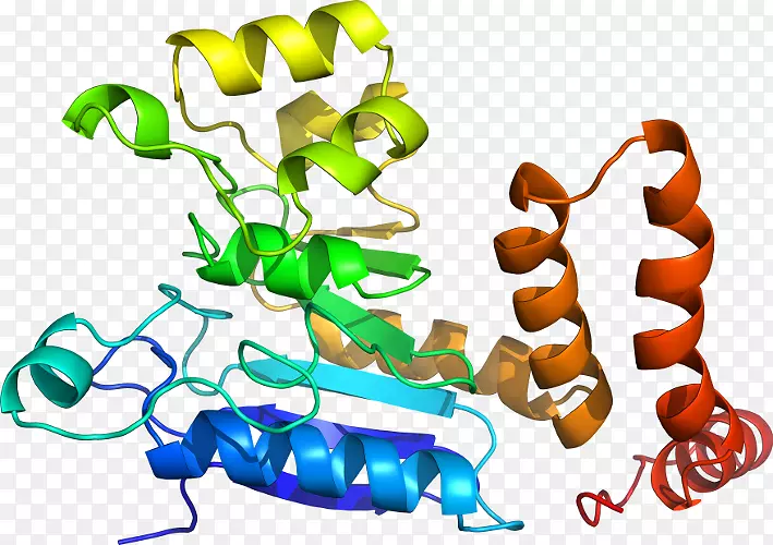 �����߶����������-������