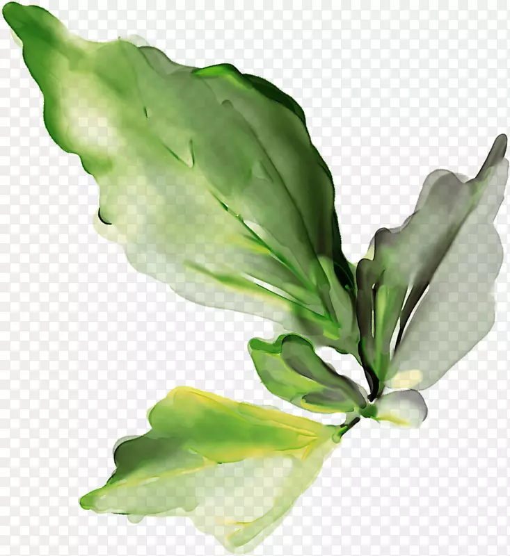 ��ֽ����-������