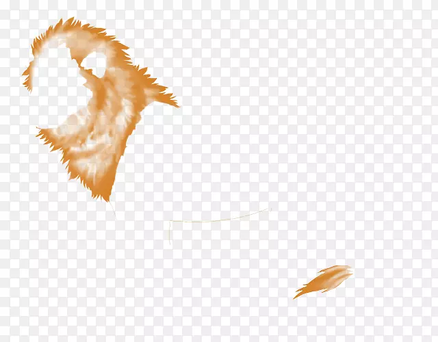 ��д��ʨ-������