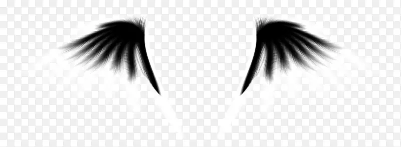 ����Ȧ-�ڰ׳��-������