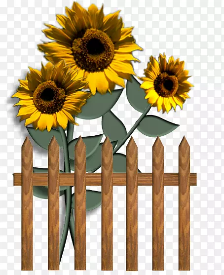 ��ͨ���տ����ͼ�����-��������-������