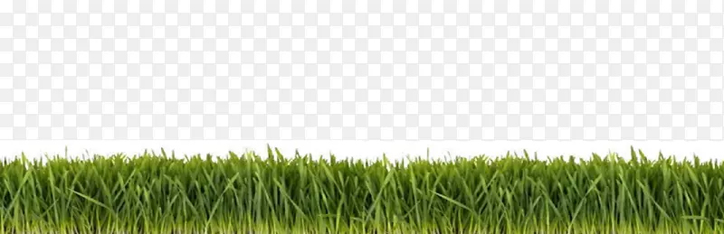 �ݱ���ƺ��-������