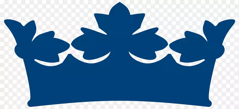 ���ƾ��ֲ�������ʳ��-������