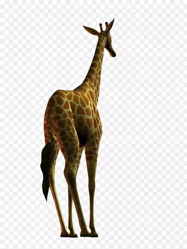 ����¹��½������-������