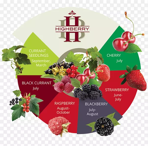 �������߲�ˮ��������-������