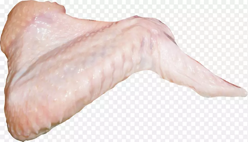 ����⼦����Ϊʳ��-������-������