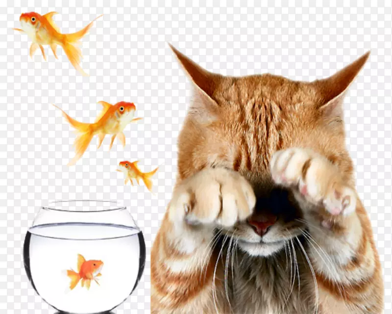 ���������ɶ�-����-������