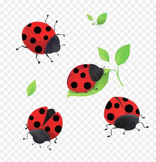 ư�沩�ͼ�����-������