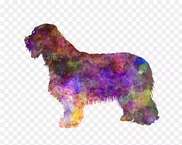 ���ź��ӵ�����Ȯ���ֲڵ�����Ȯ���߾�����Ȯ�����ϵ�Ӣ������Ȯ���Ĵ���������Ȯ-������