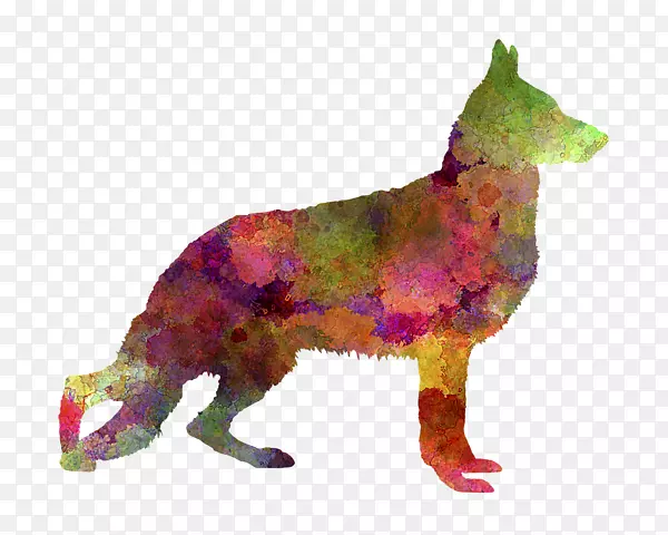 ��ˮ�ʻ��մ�Zazzle�ؿ�-Romero-������