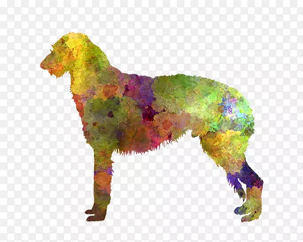 �ո�����¹Ȯ��ֳˮ�ʻ��Ĵ����ǿ����ɻ���-��÷��-������