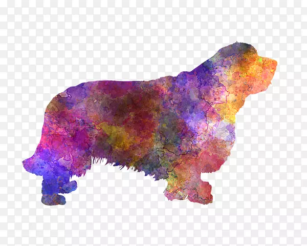 ���ܱ���-��÷��-������