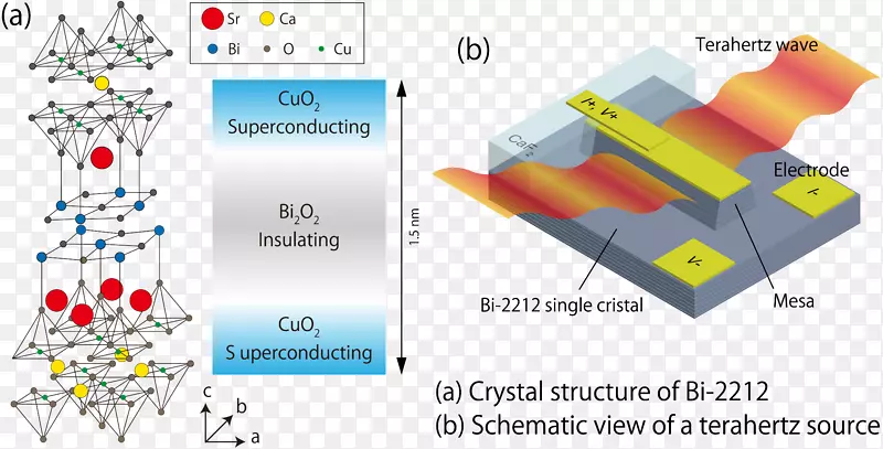 Ʒ���ߵ㼼��.��-������