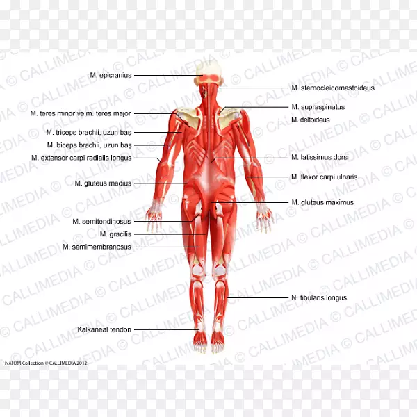 ����������-������ϵͳ-�ڷ���-������