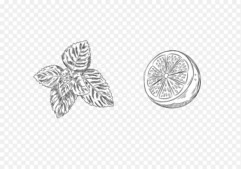 ���ɣ�����ˮ�����ɣ���״����Ҷ-������