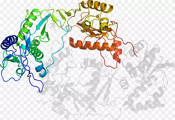 ƽ�������������-��-������