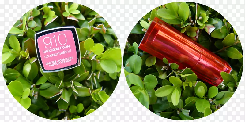 ��Ҷ�߲�-Ҳ��-������