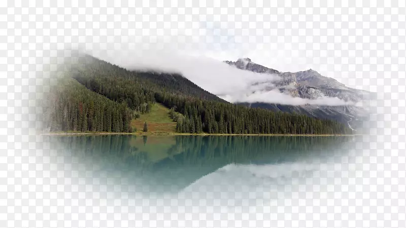 �����ֽ������ʾ����ʾ�ֱ��ʿ����������ɽ��-������