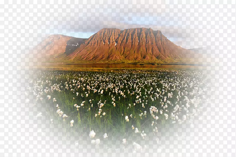 ɽ����ˮ��Դ�������ֽ������.ɽ��-������