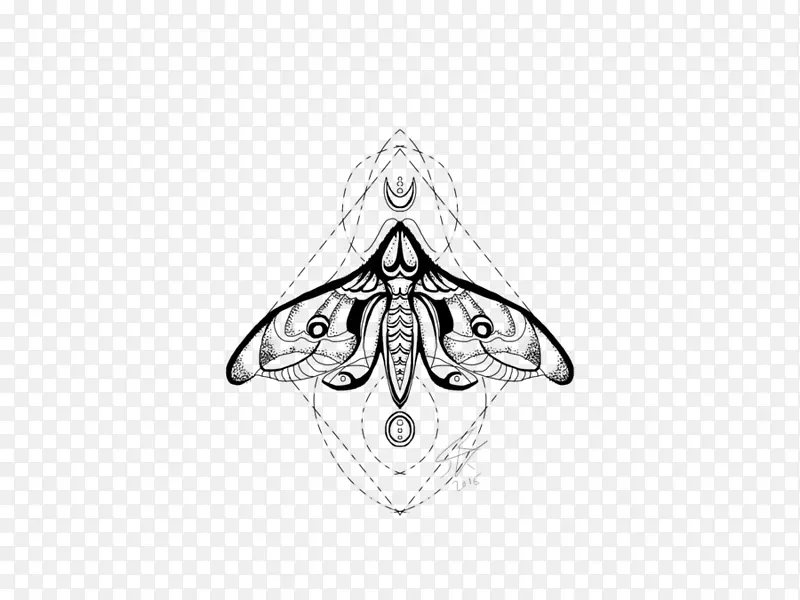 ���������Գ�����ͼ��.����-������