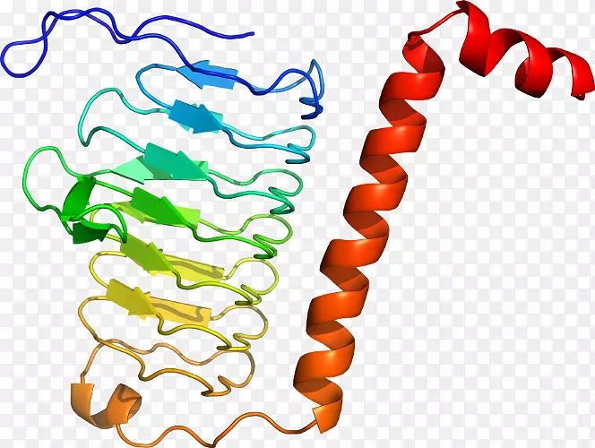 ���������л����߼�������-������