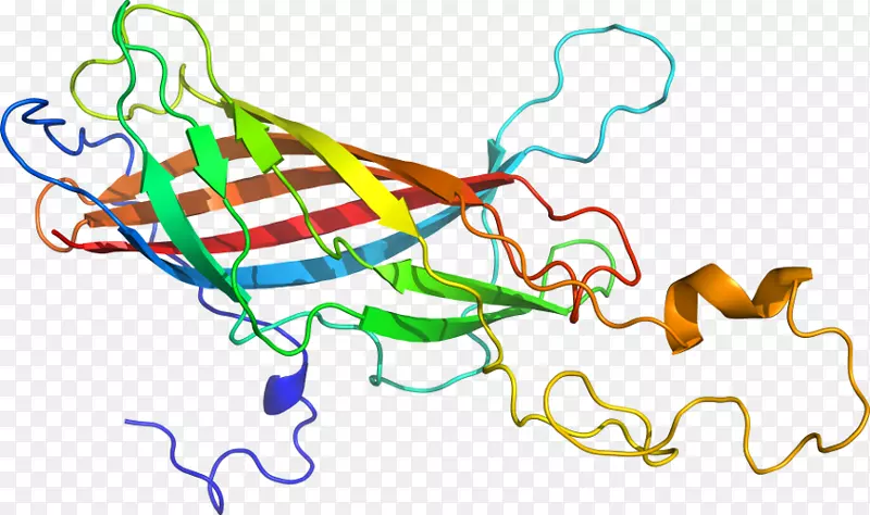 �ߵ������-��-������