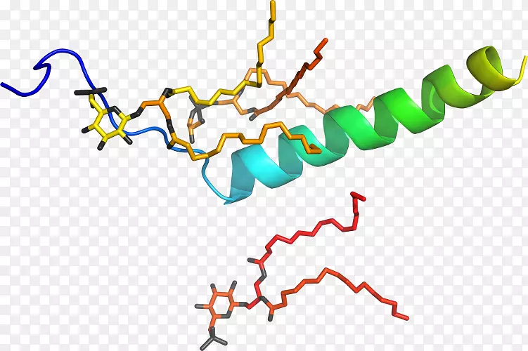 �ߵ������������-������