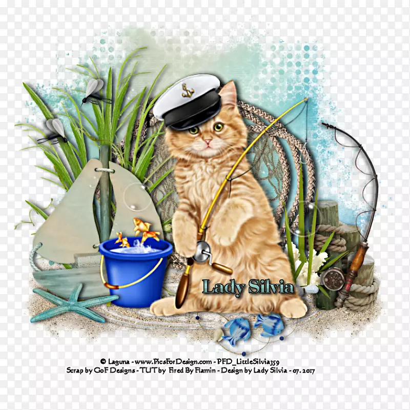 ����ͨ������-������