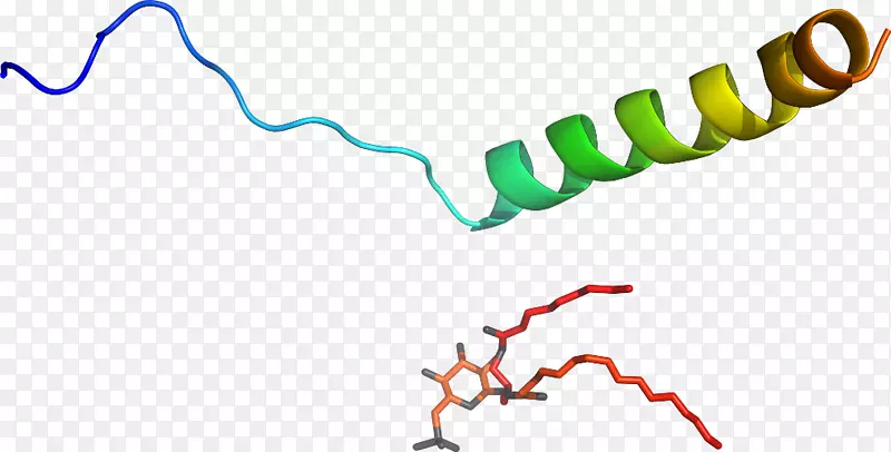 �ߵ������������-������