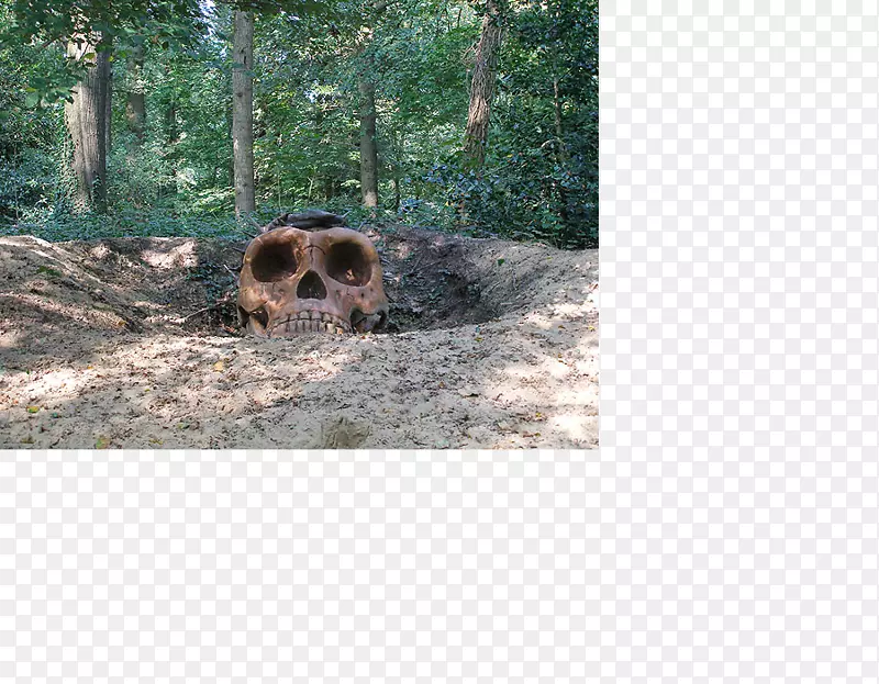 Ұ������½���������-������