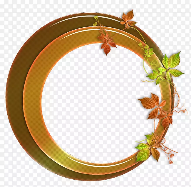 ������ķ��Ӱ��-������